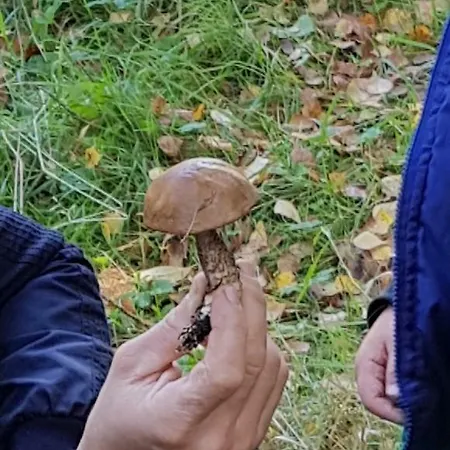 Na Cichej Lesniewo * Lesniewo (Pomerania)