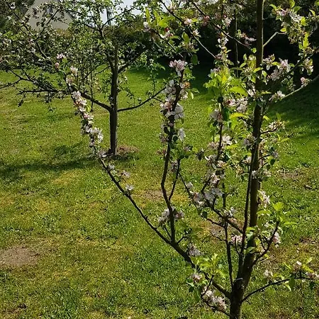 Na Cichej Leśniewo * Lesniewo (Pomerania)