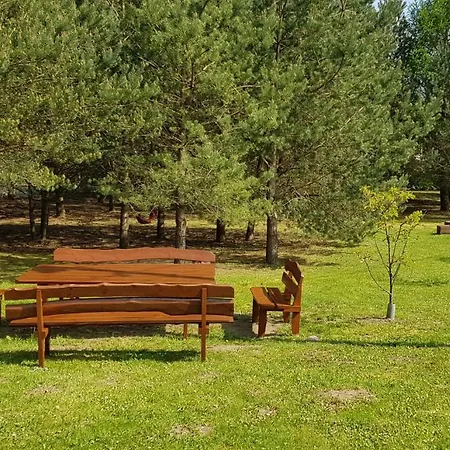 Na Cichej Lesniewo ヴィラ *