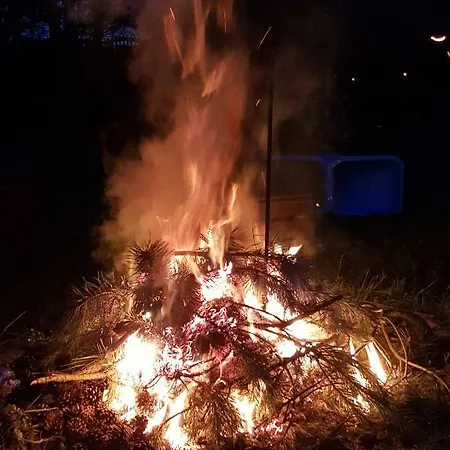 Na Cichej Leśniewo Willa