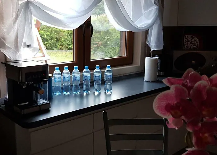 Villa Na Cichej Lesniewo *